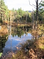 20091021-NorthConway-5600