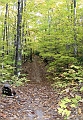 20091021-NorthConway-5620