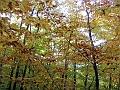 20091021-NorthConway-5621