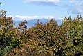 20091021-NorthConway-5626
