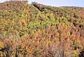 20091021-NorthConway-5627