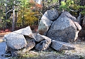 20091021-NorthConway-5630
