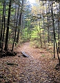 20091021-NorthConway-5698