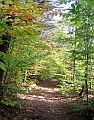 20091021-NorthConway-5703