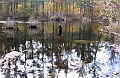 20091021-NorthConway-5705