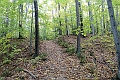 NorthConway-201210-570