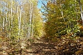 NorthConway-201210-586