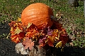 NorthConway-201210-634