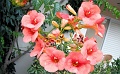 201006-Crete-1331
