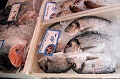 201006-Crete-1388