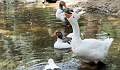 201006-Crete-1483