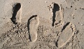 201006-Crete-1666