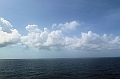 AP1010183