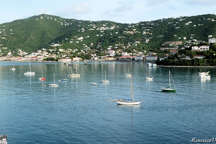 AP1010135.jpg