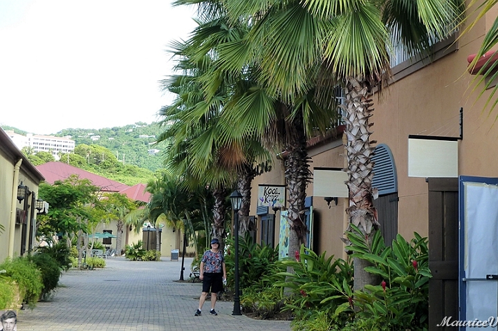 AP1010149.jpg