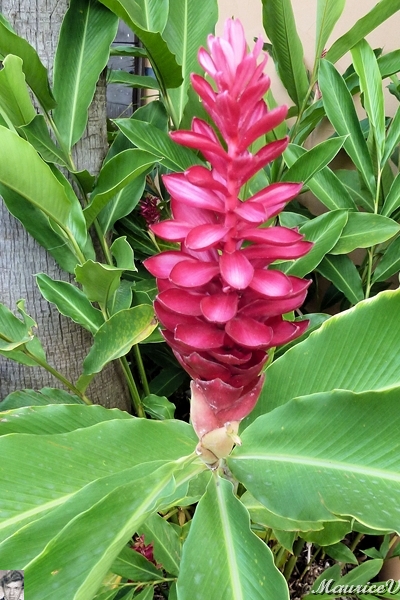 AP1010150.jpg