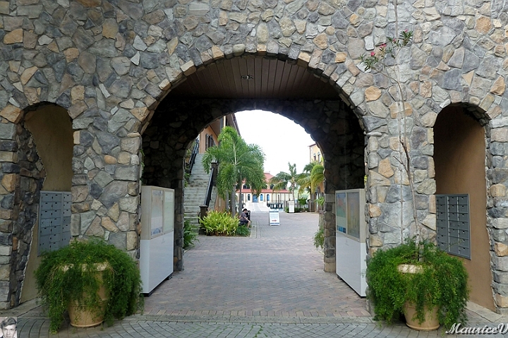 AP1010153.jpg