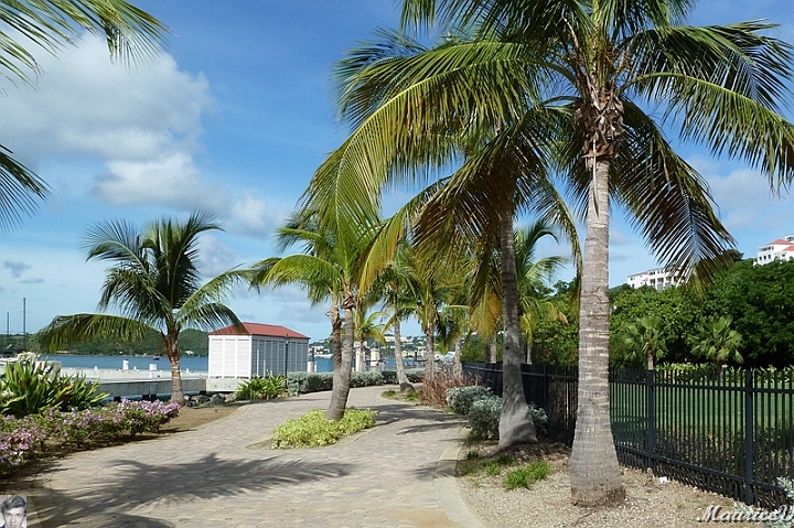 AP1010154.jpg