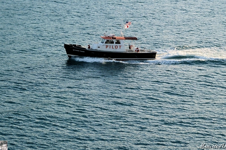 AP1010177.jpg