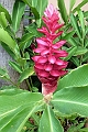 AP1010150