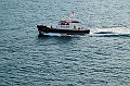 AP1010177
