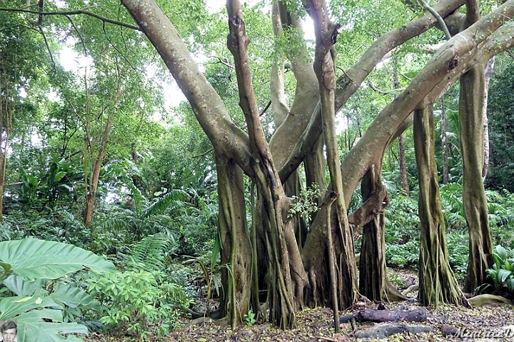 AP1010215.jpg
