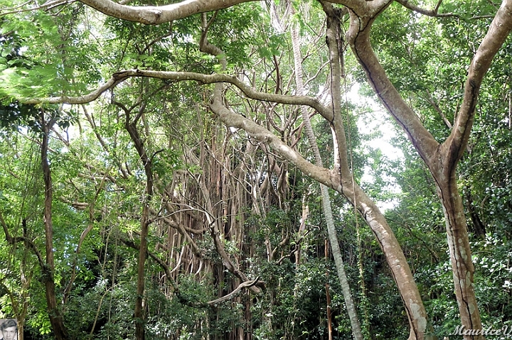 AP1010219.jpg