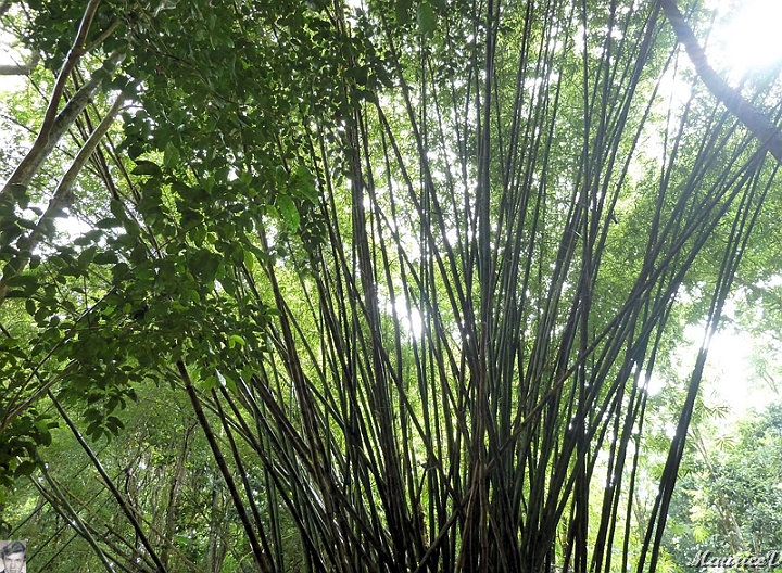 AP1010221.jpg