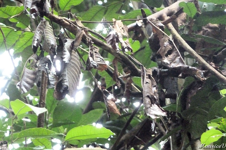 AP1010225.jpg