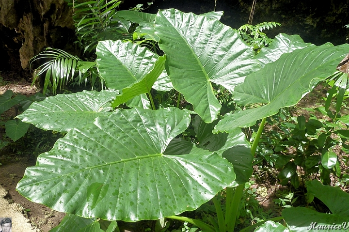 AP1010229.jpg