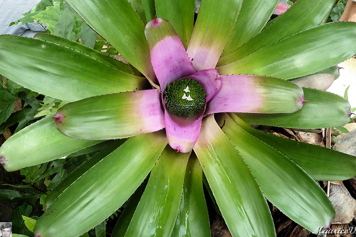 AP1010233.jpg
