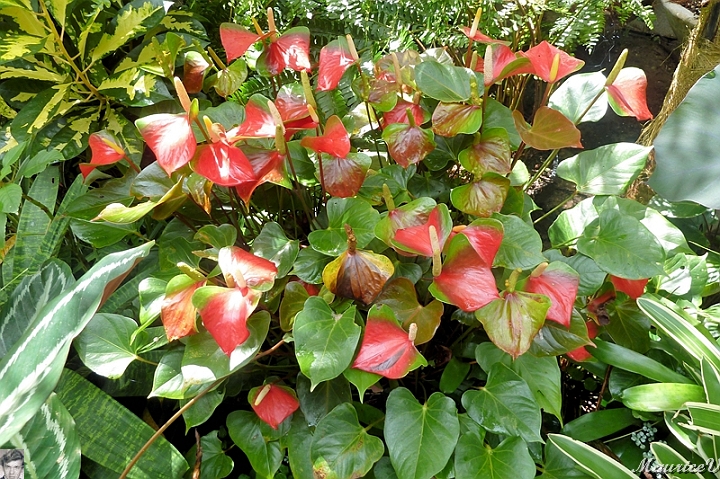 AP1010234.jpg