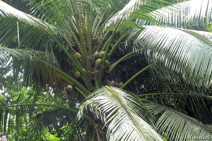 AP1010242.jpg
