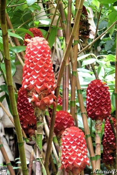 AP1010244.jpg