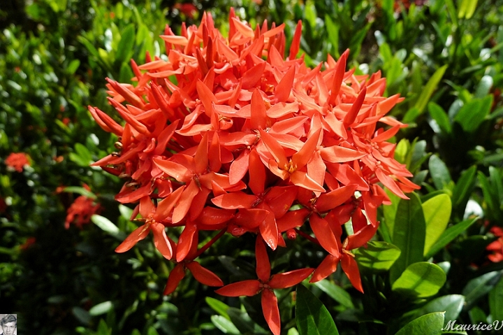 AP1010251.jpg