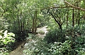 AP1010213