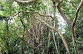 AP1010219