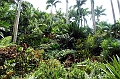 AP1010236