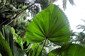 AP1010247