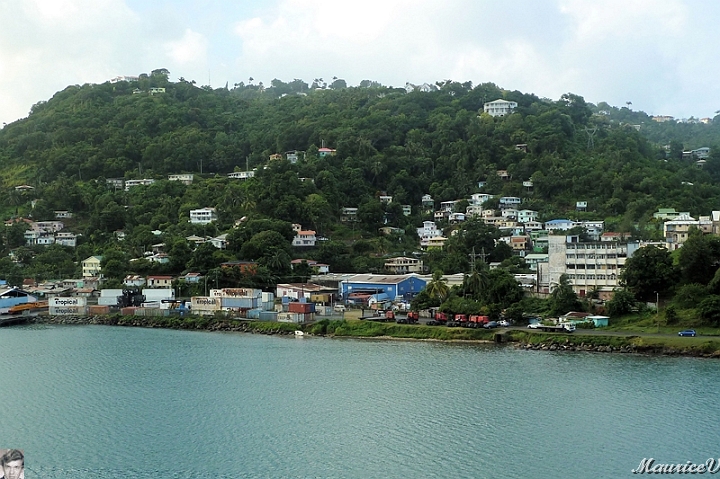 AP1010284.jpg