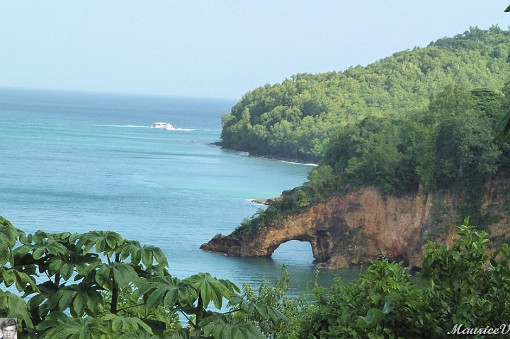 AP1010293.jpg