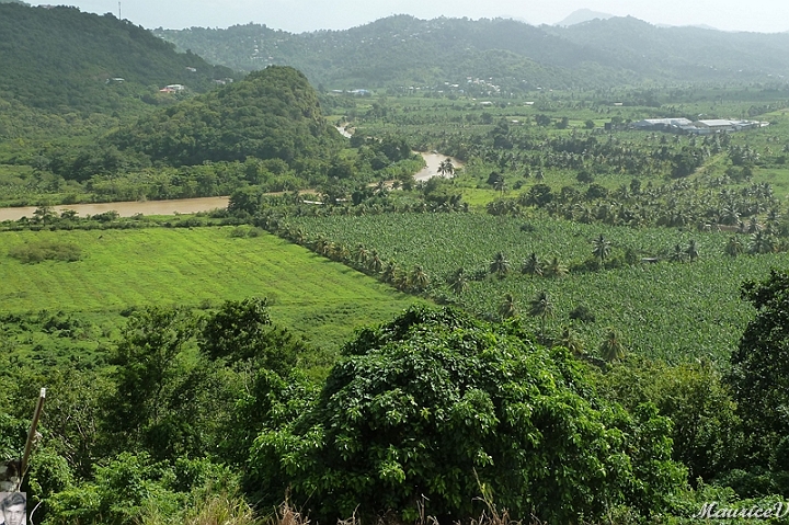 AP1010307.jpg