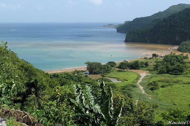 AP1010308.jpg