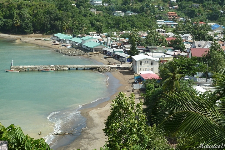 AP1010324.jpg