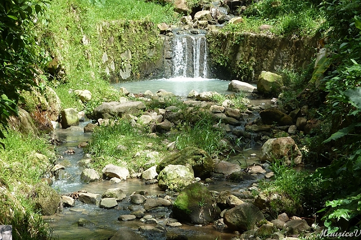 AP1010376.jpg