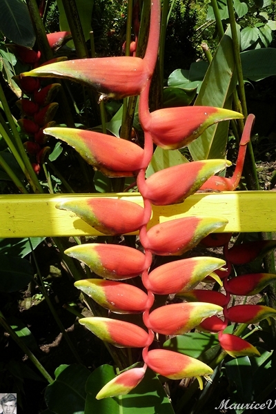 AP1010387.jpg
