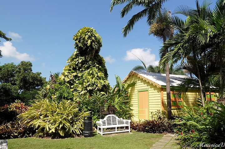 AP1010441.jpg