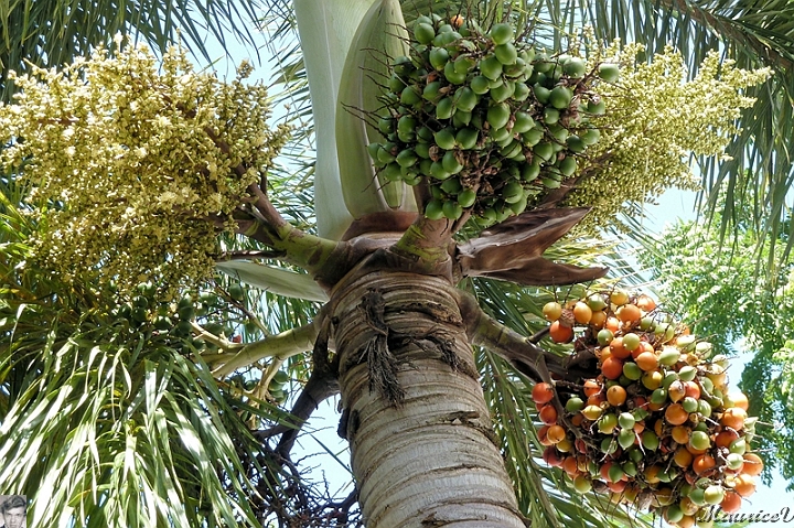 AP1010447.jpg