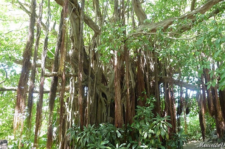 AP1010452.jpg