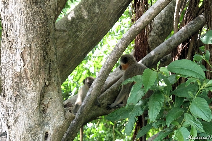 AP1010474.jpg